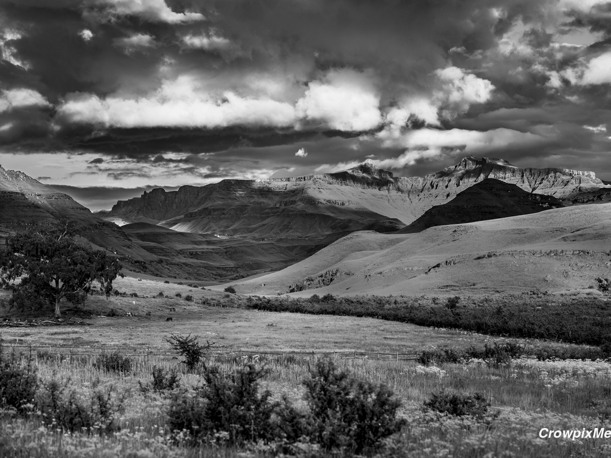 8 Easy Ideas to Improve Your Black and White Nature Photography